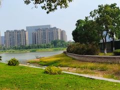 -金沙湖公园