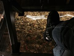 -颐和•海鲜砂锅粥•啫啫煲(奥林匹克广场店)