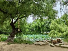 -万泉公园