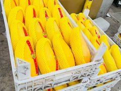 -东方鼎信农副产品交易中心