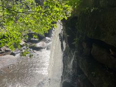 -汤旺河林海奇石景区