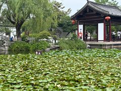 -常熟方塔园