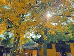 -西园戒幢律寺
