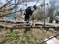 -长白岛森林公园