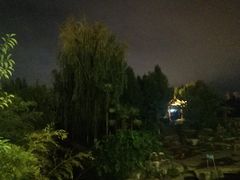 -洛龙公园