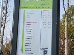 -上海滨江森林公园