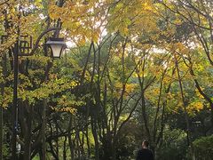 -杭州半山国家森林公园