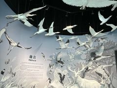 -中国湿地博物馆
