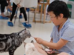 -藏猫猫咖啡主题馆(中央大道店)