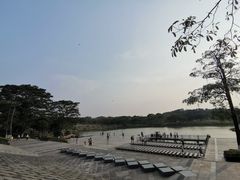 -东莞植物园