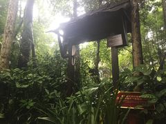 -青城道汤池