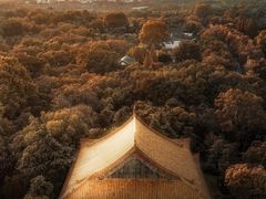 -灵谷景区