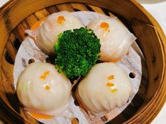 -京粤荟(海王银河科技大厦店)