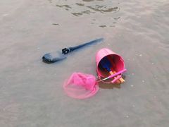 -奉贤海滩