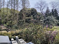 -山外山菜馆(玉泉路店)