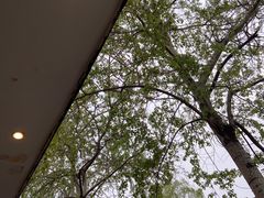-申德勒加油站餐厅(三里屯北小街店)