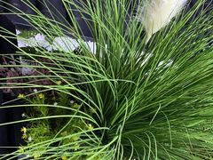 -小徽舟臭鳜鱼(雅清街店)