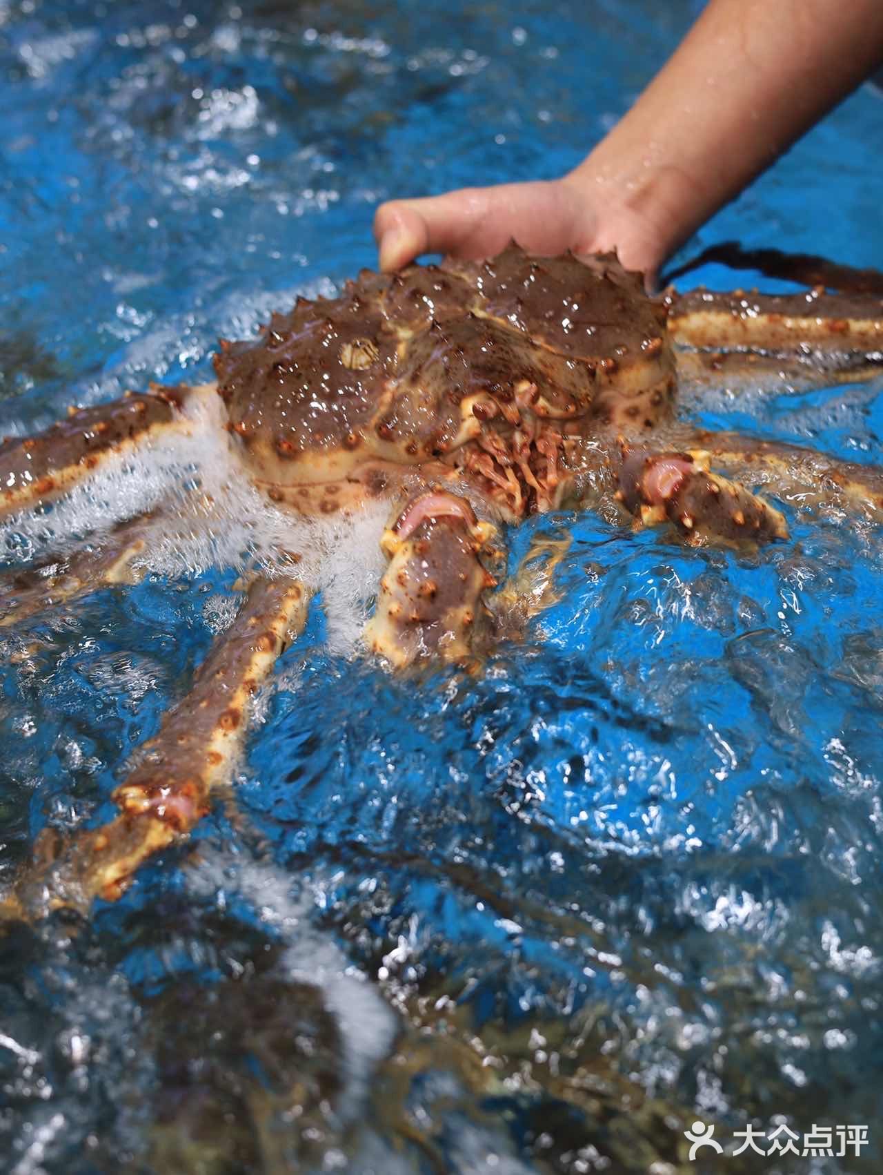 鲍鲜生∣邂逅浦东人气爆棚的象山海鲜餐厅‼️