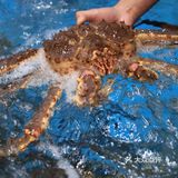 鲍鲜生∣邂逅浦东人气爆棚的象山海鲜餐厅‼️