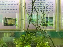 -上海昆虫博物馆