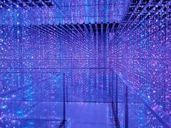 -正佳自然科学博物馆