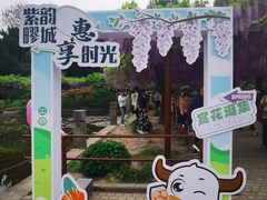 -嘉定紫藤园