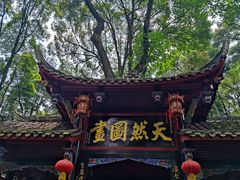 -青城山