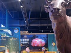 -五星桥原切肥牛火锅(怀德桥店)