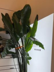 -春田皮肤管理中心品牌旗舰店