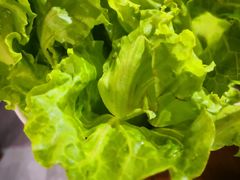 -老北京涮肉(经一路店)