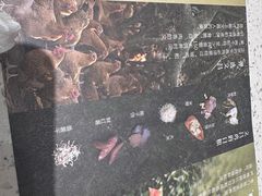 -中粮·祥云小镇