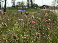 -盘龙城国家考古遗址公园