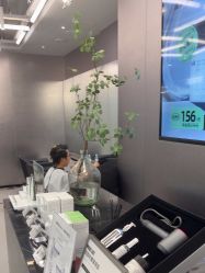 -东方麒麟·潘多拉SALON