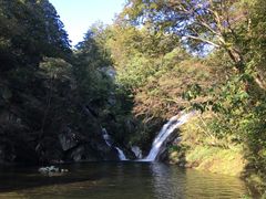 -内乡宝天曼生态旅游区