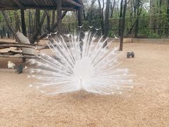 -秦皇岛野生动物园