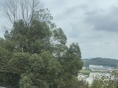 -恬阿姨庭院餐厅·生日宴