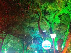 -桂林市榕杉湖景区
