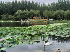-吉林大学(前卫南区)