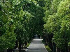 -同里国家湿地公园