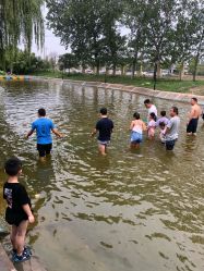 -上美四季动物农场