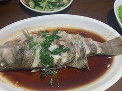 -浦江餐饮•上海菜馆(五四路店)