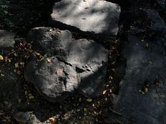 -苏州河梦清园环保主题公园