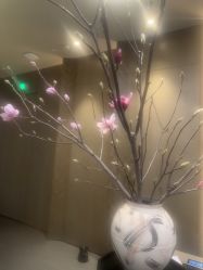 -VELEE·SPA高定疗愈会所