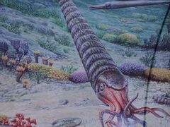 -房山世界地质公园博物馆