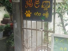 -猫色咖啡·猫咖