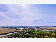 -南大港湿地风景区