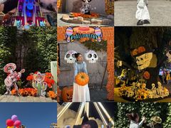 -大连海昌发现王国主题公园