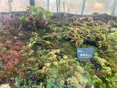 -国家植物园南园