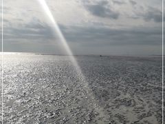 -南汇新城海滩
