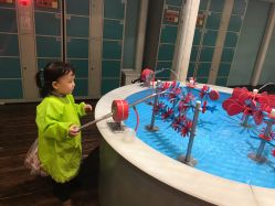 点击看大图 -Eureka优瑞卡儿童主题乐园(合生汇购物中心店)